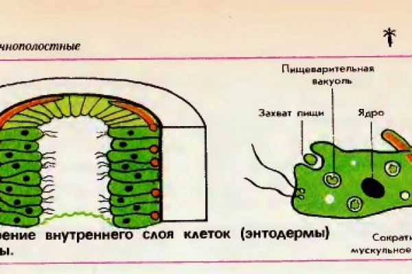 Кракен купить гашиш
