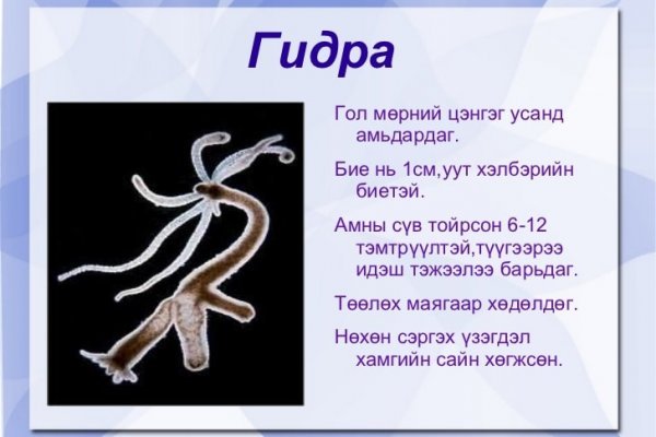 Кракен актуальные
