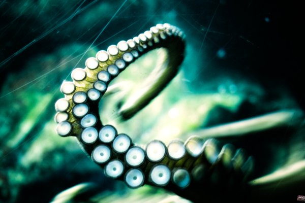 Кракен сайт магазин kraken clear com